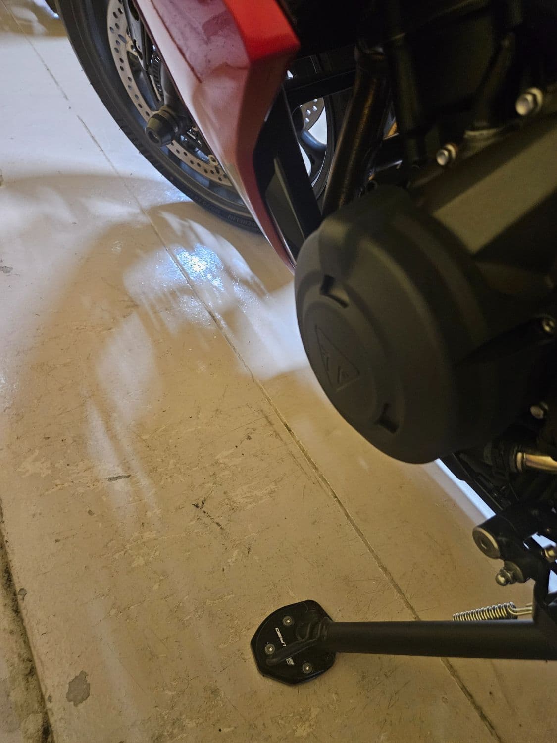 트라이엄프 데이토나 660 8