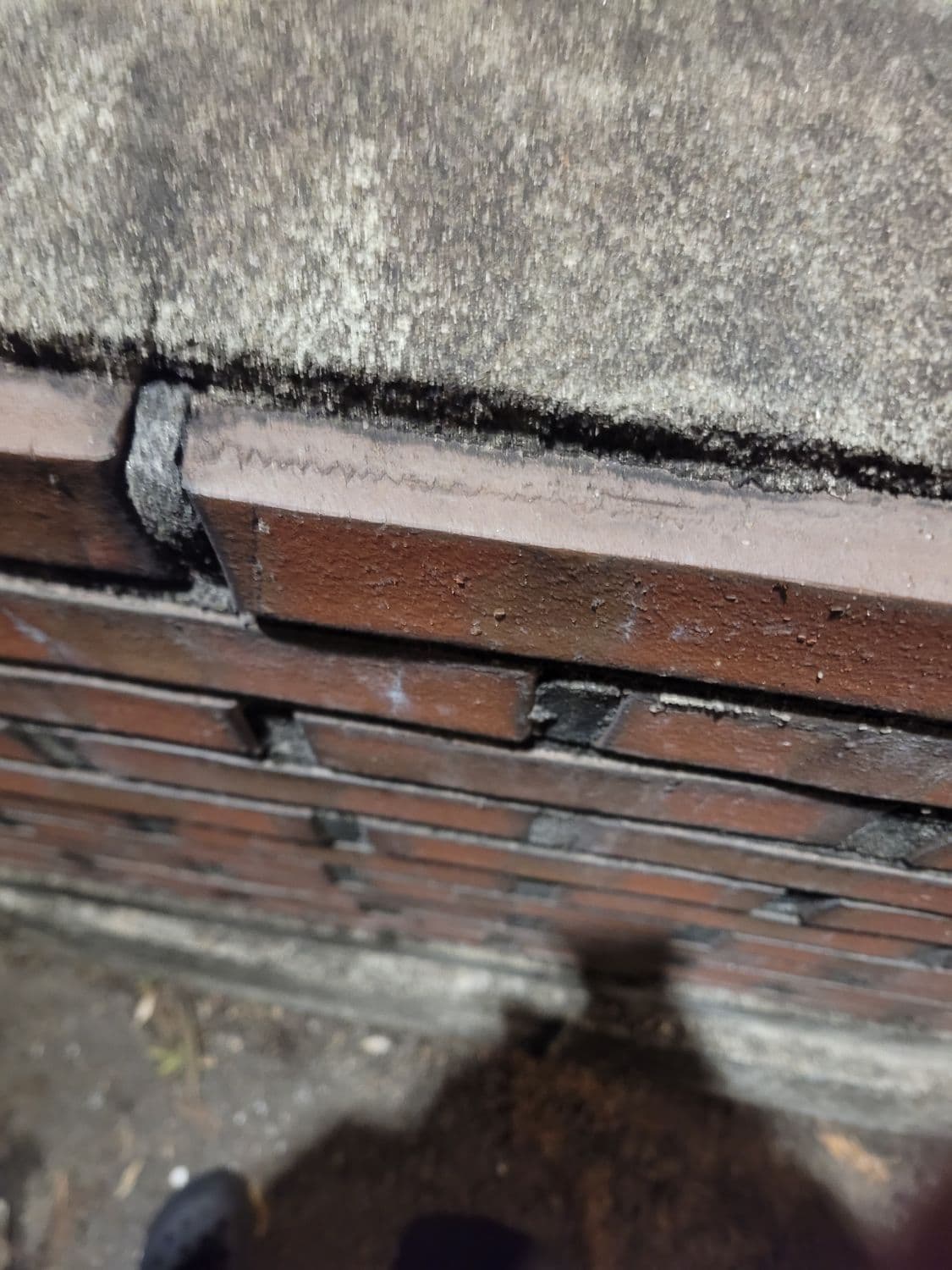 혼다 포르자 350 1