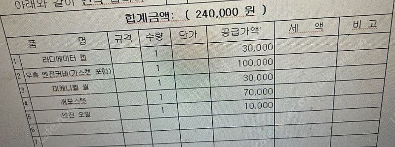 혼다 포르자 300 10