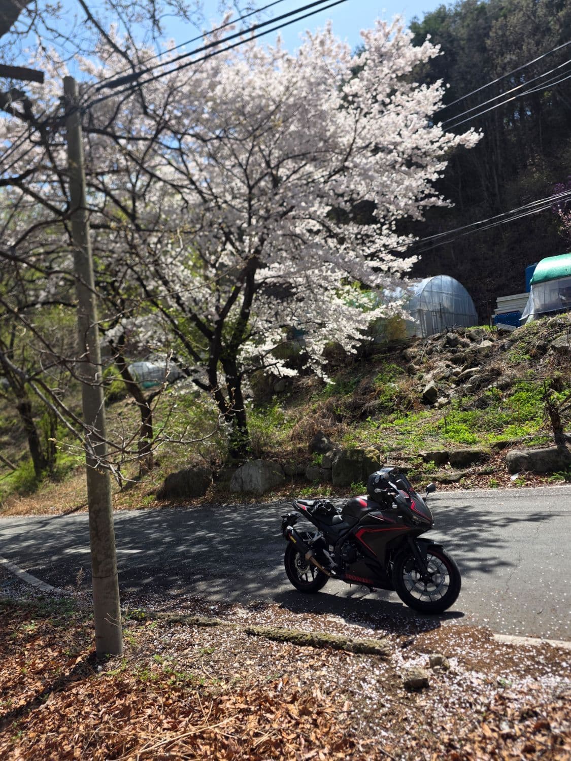 혼다 CBR 500 R 4