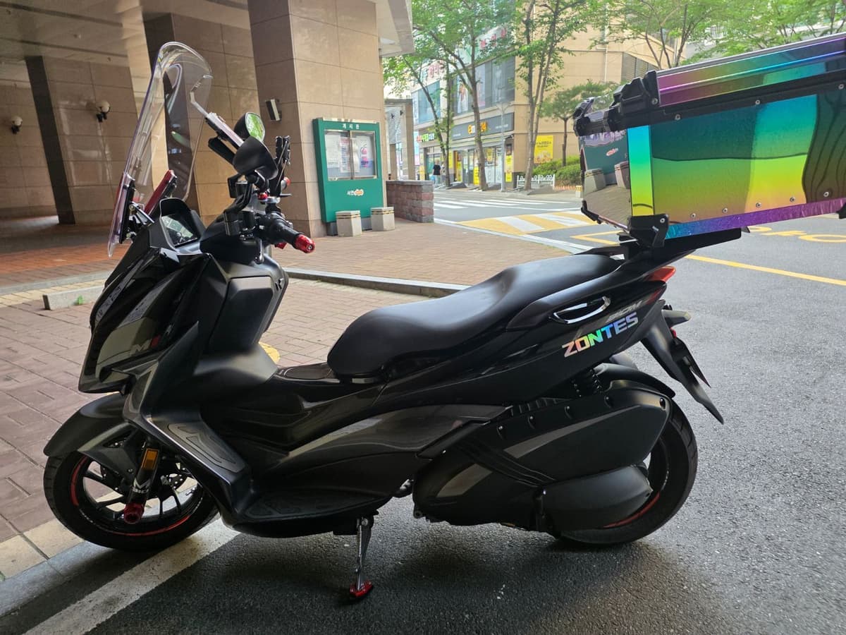 존테스 310 M 1