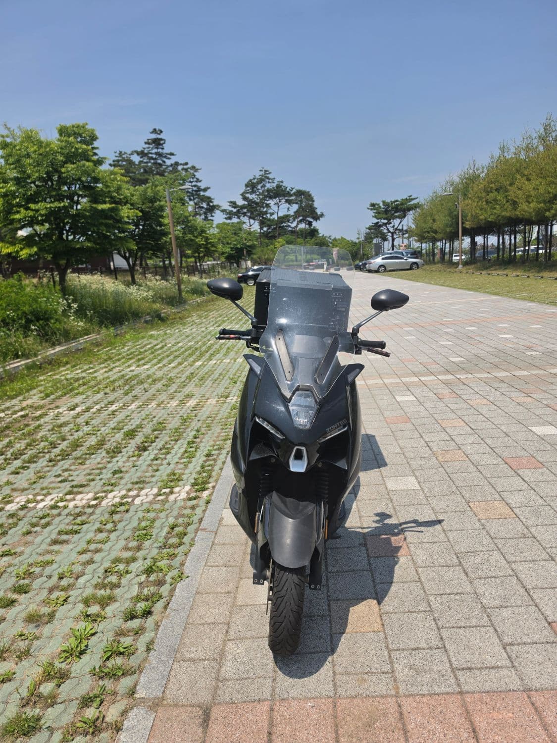 존테스 125 M 5