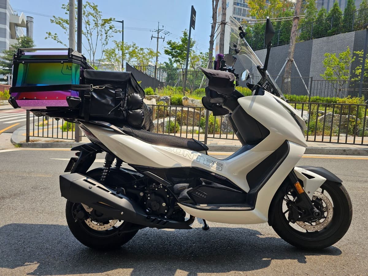존테스 350 D 3