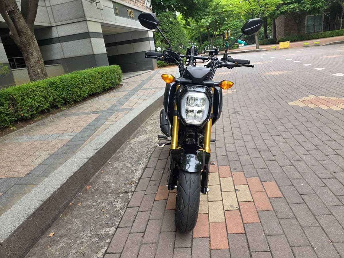 혼다 MSX 125 그롬 4