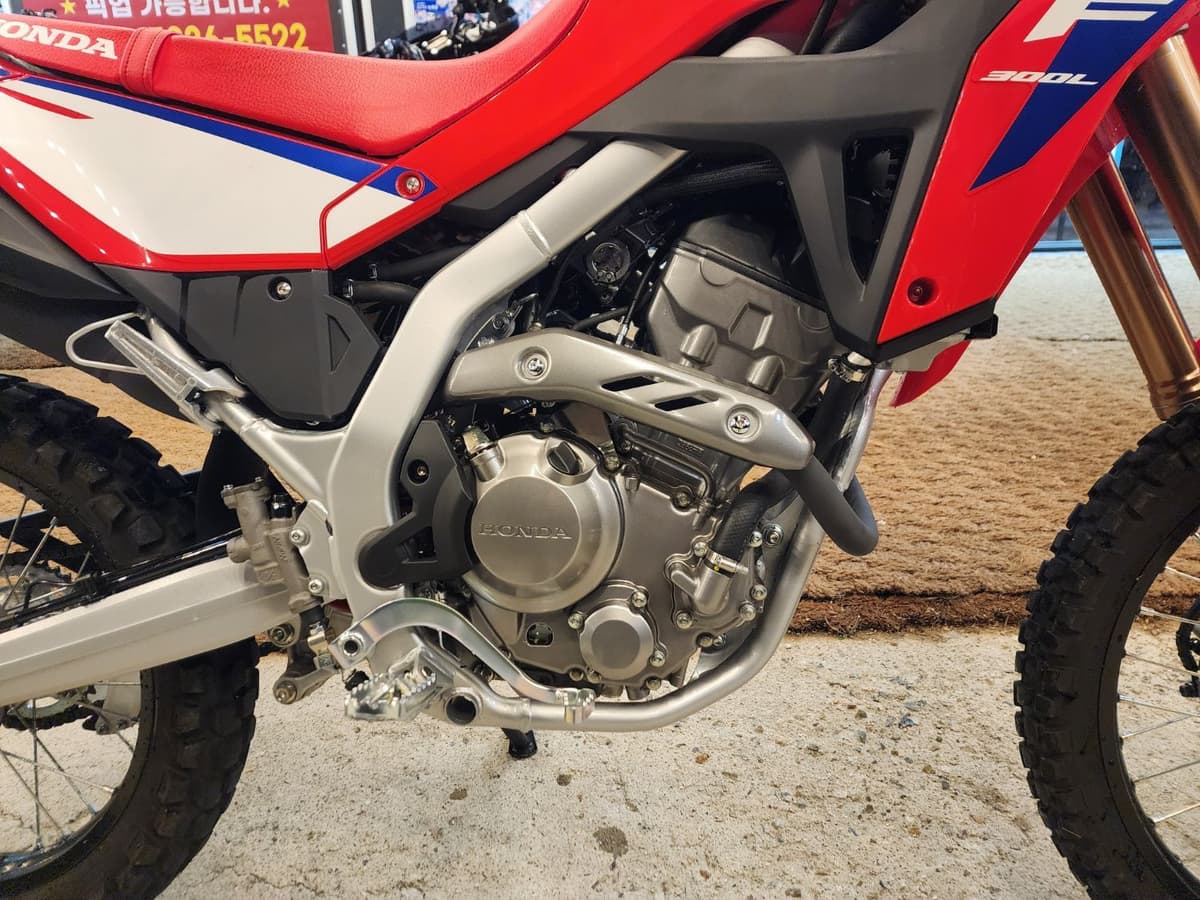 혼다 CRF 300 L 10