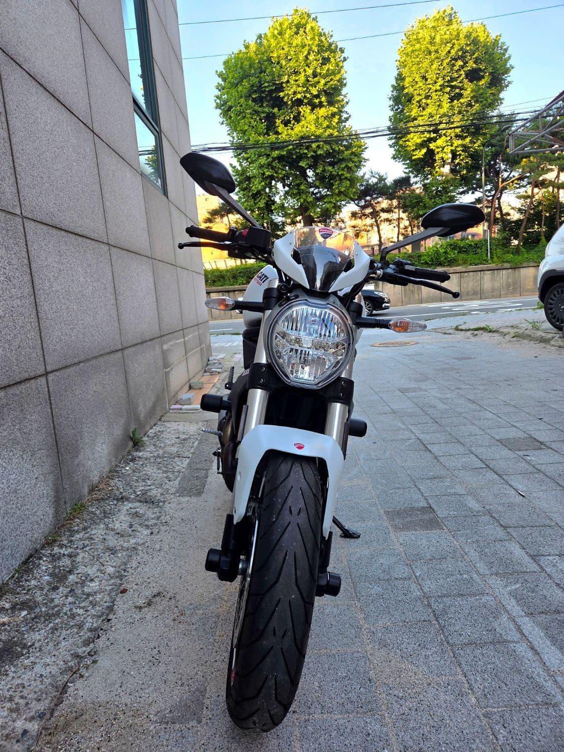 두카티 몬스터 797 11