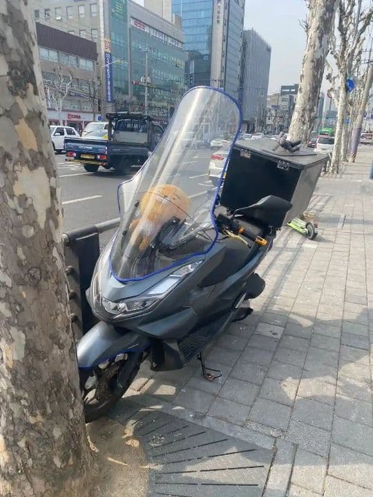 혼다 PCX 125 1