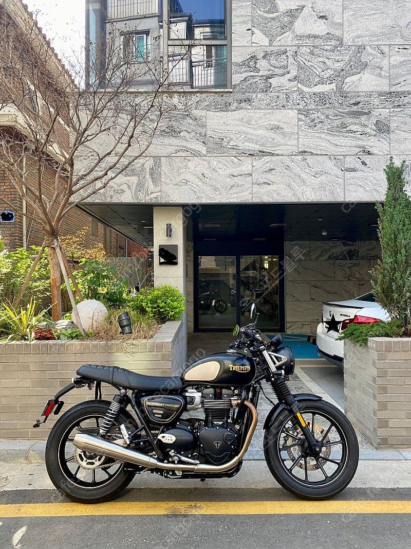 트라이엄프 스트리트 트윈 900 more