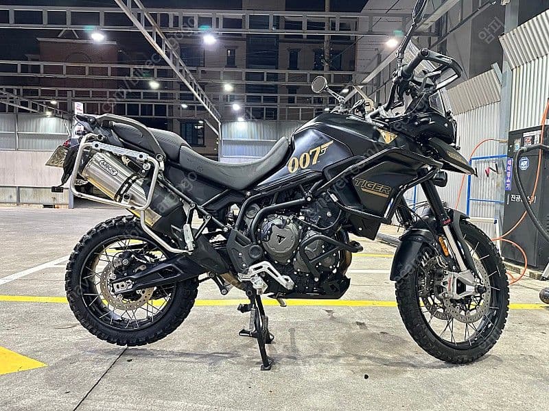 트라이엄프 타이거 900 랠리 프로 5