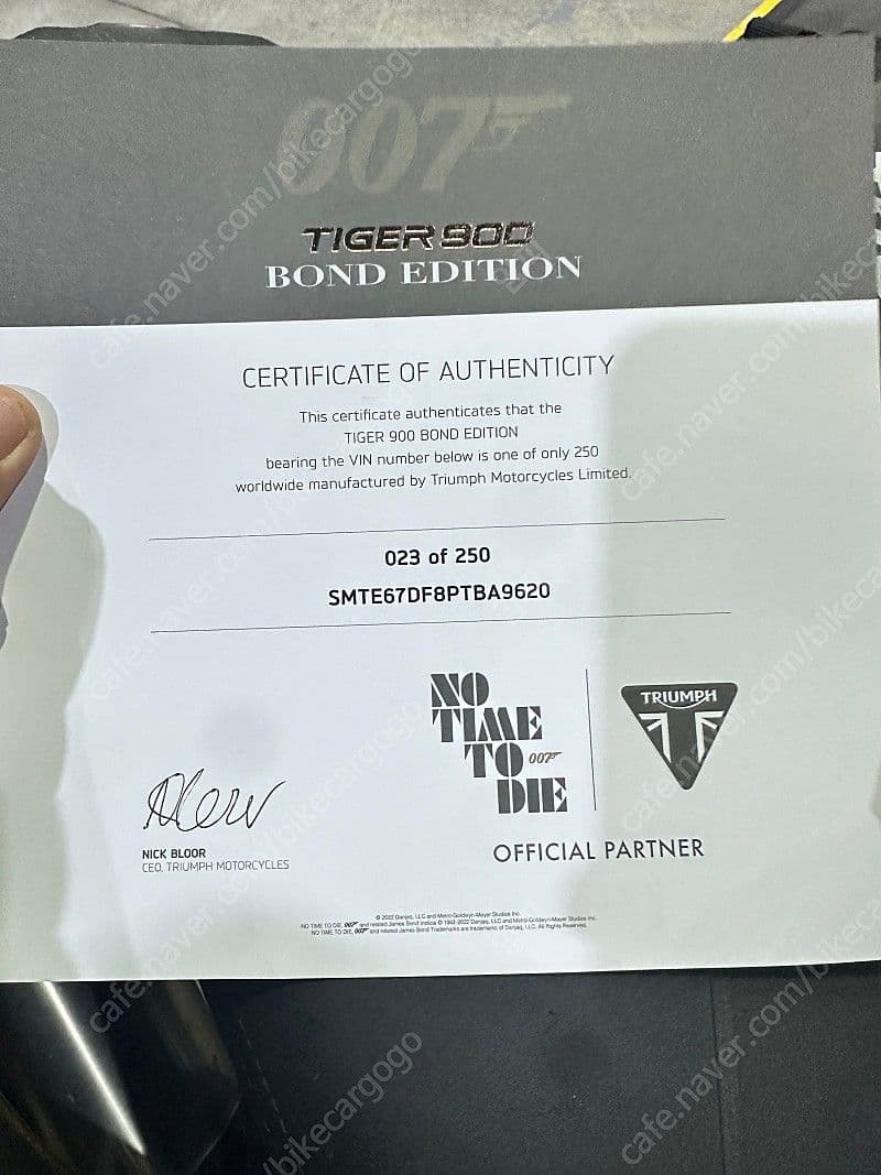 트라이엄프 타이거 900 랠리 프로 7