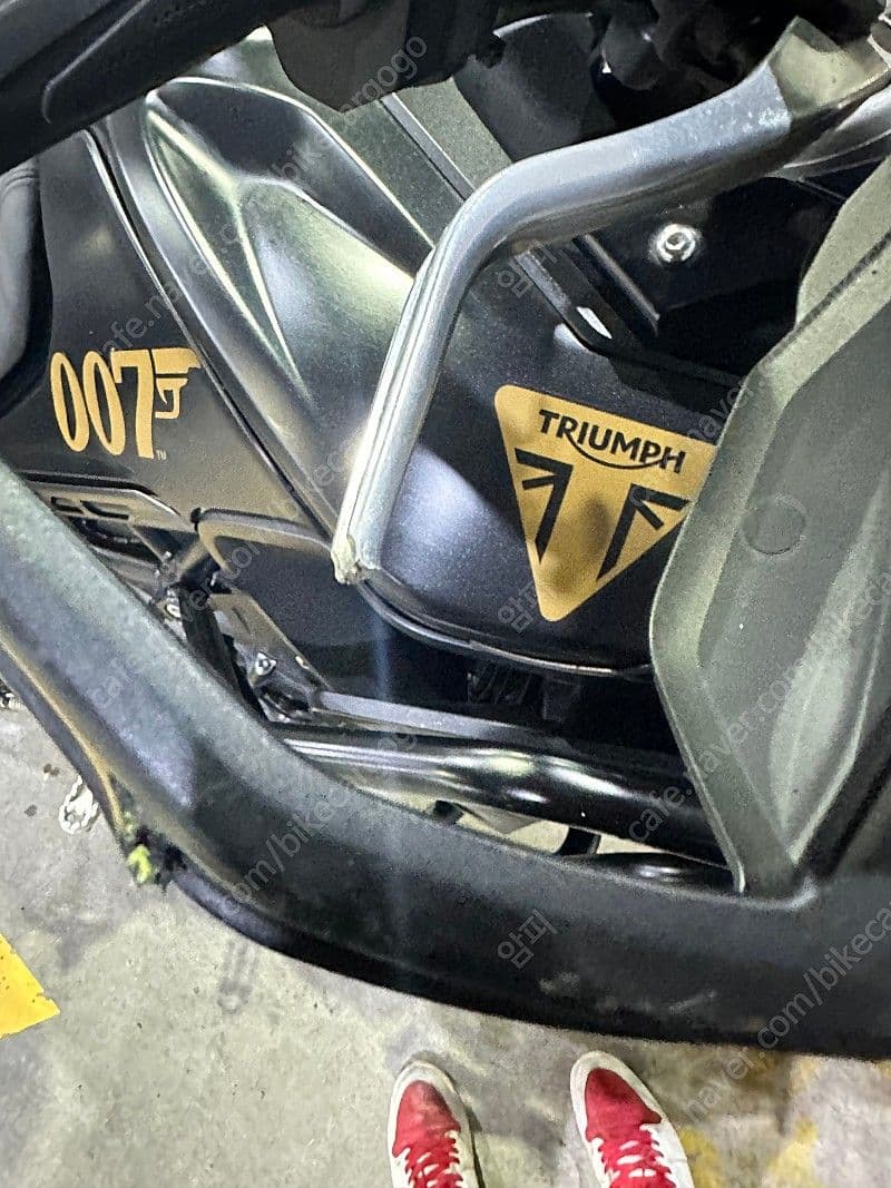 트라이엄프 타이거 900 랠리 프로 9