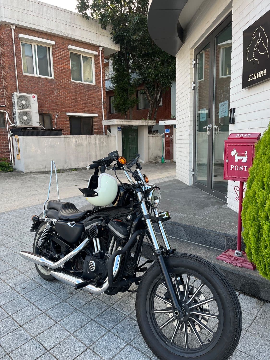 할리데이비슨 아이언 883 1