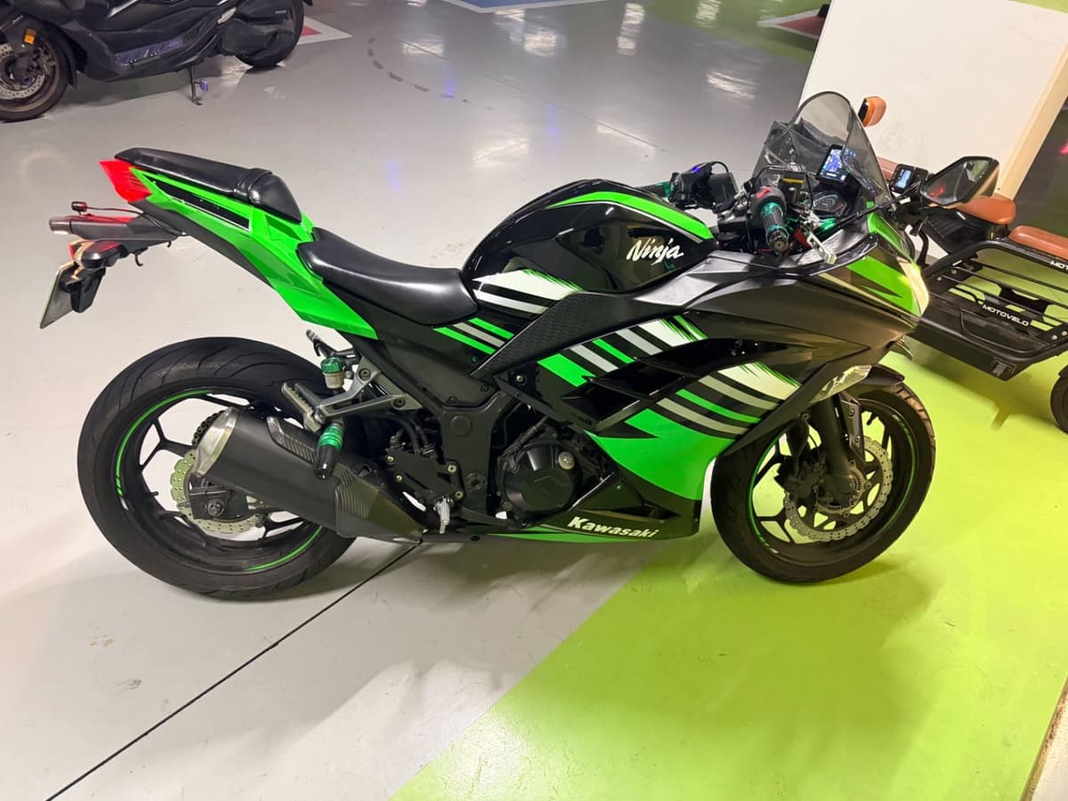 가와사키 닌자 300 ABS 7