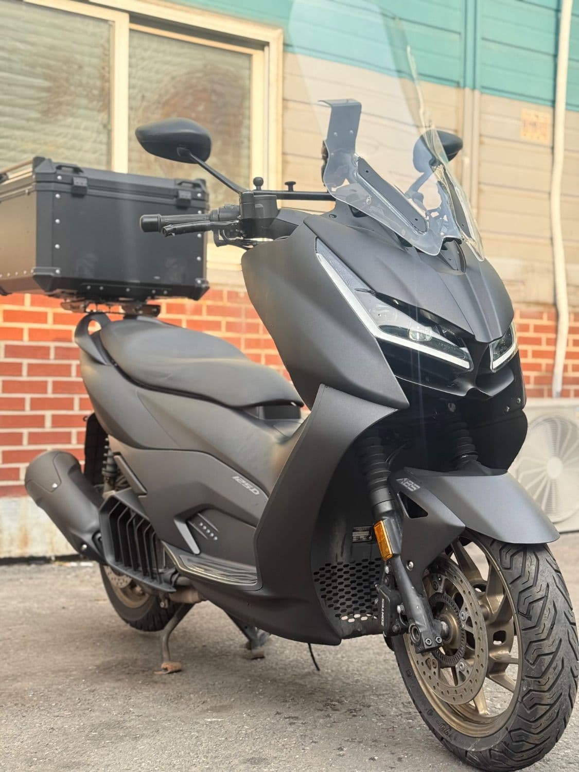 존테스 125 D 1