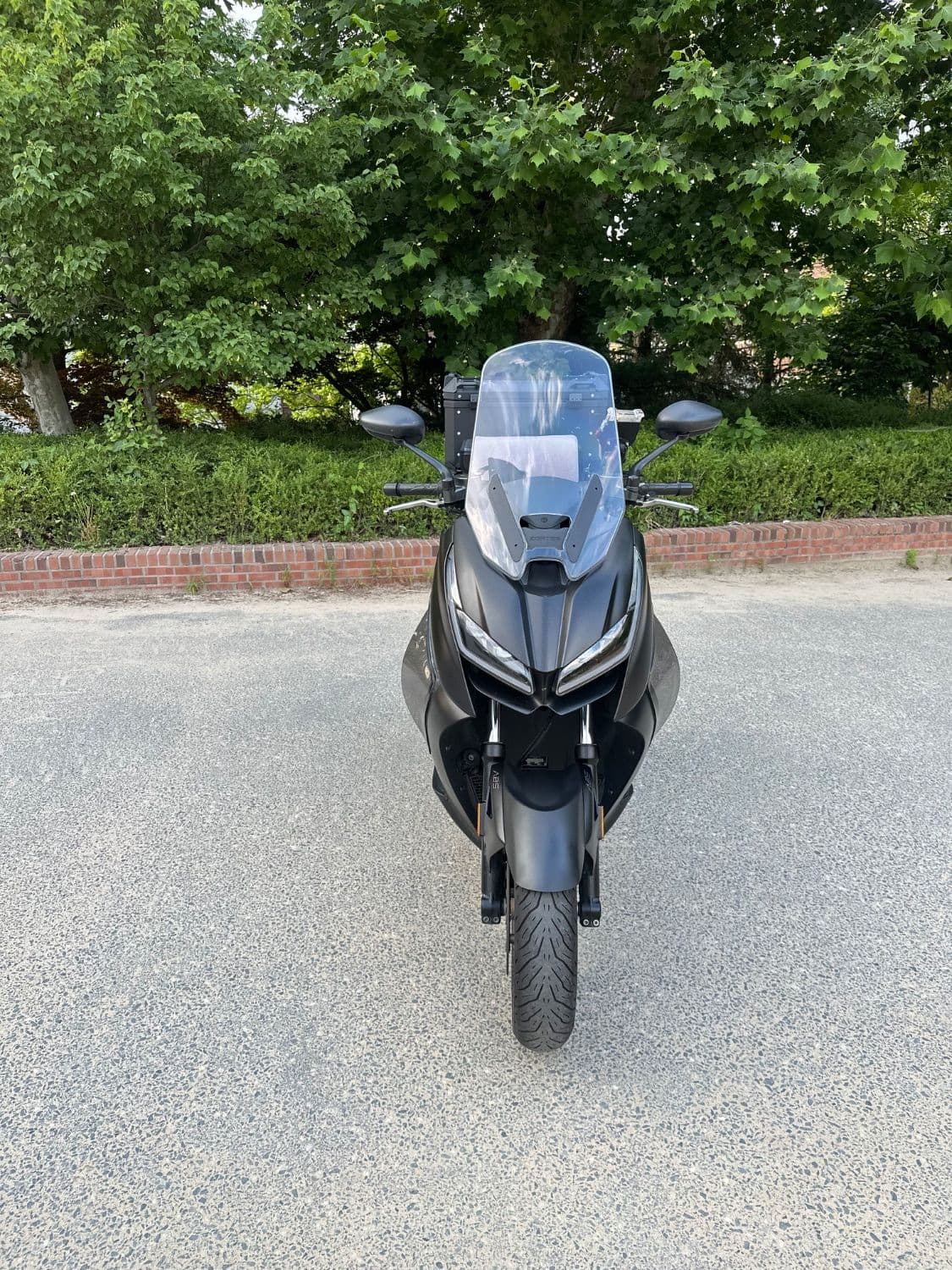 존테스 350 D 1