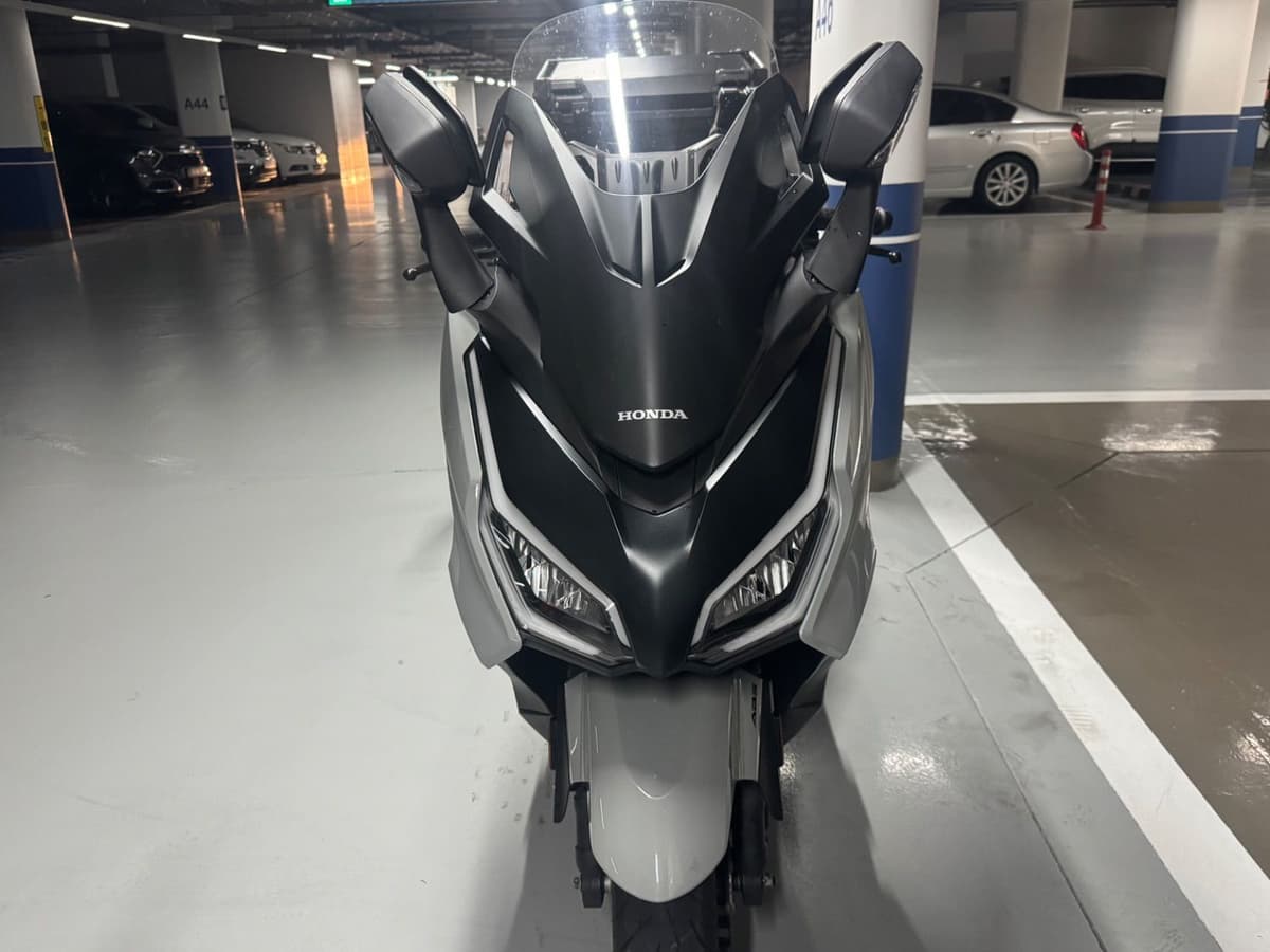 혼다 포르자 350 2