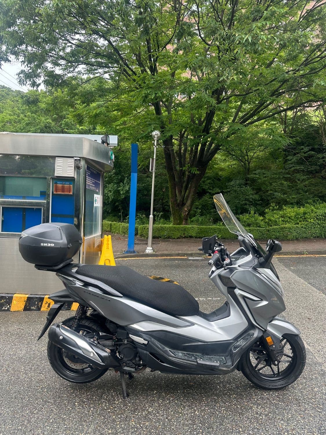 혼다 포르자 300 4