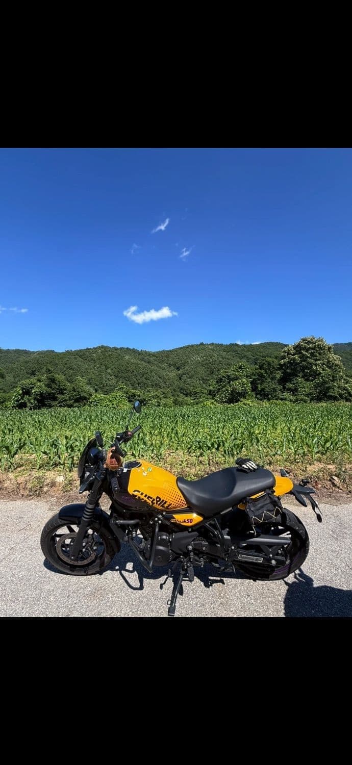 로얄엔필드 게릴라 450 1