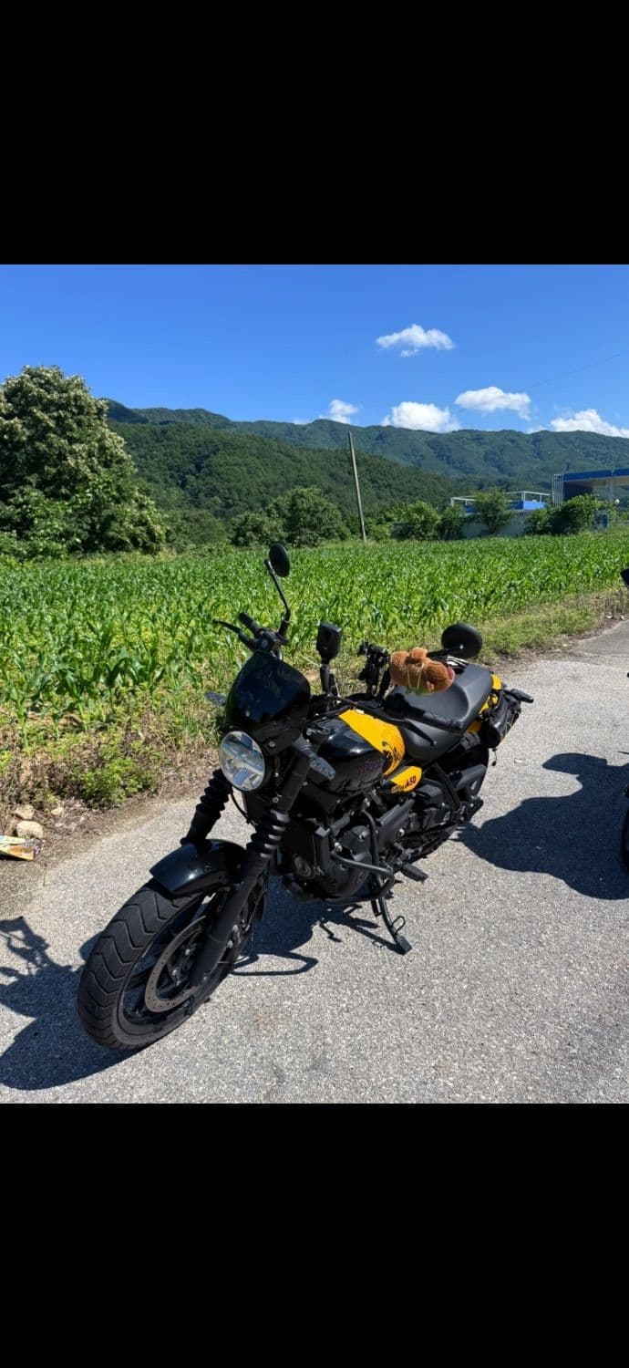 로얄엔필드 게릴라 450 2