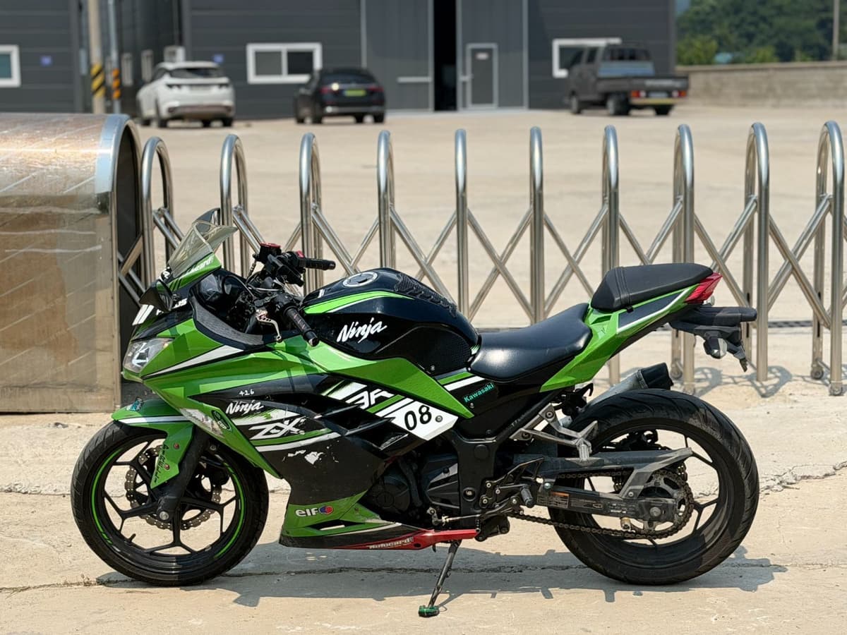 가와사키 닌자 300 ABS 5