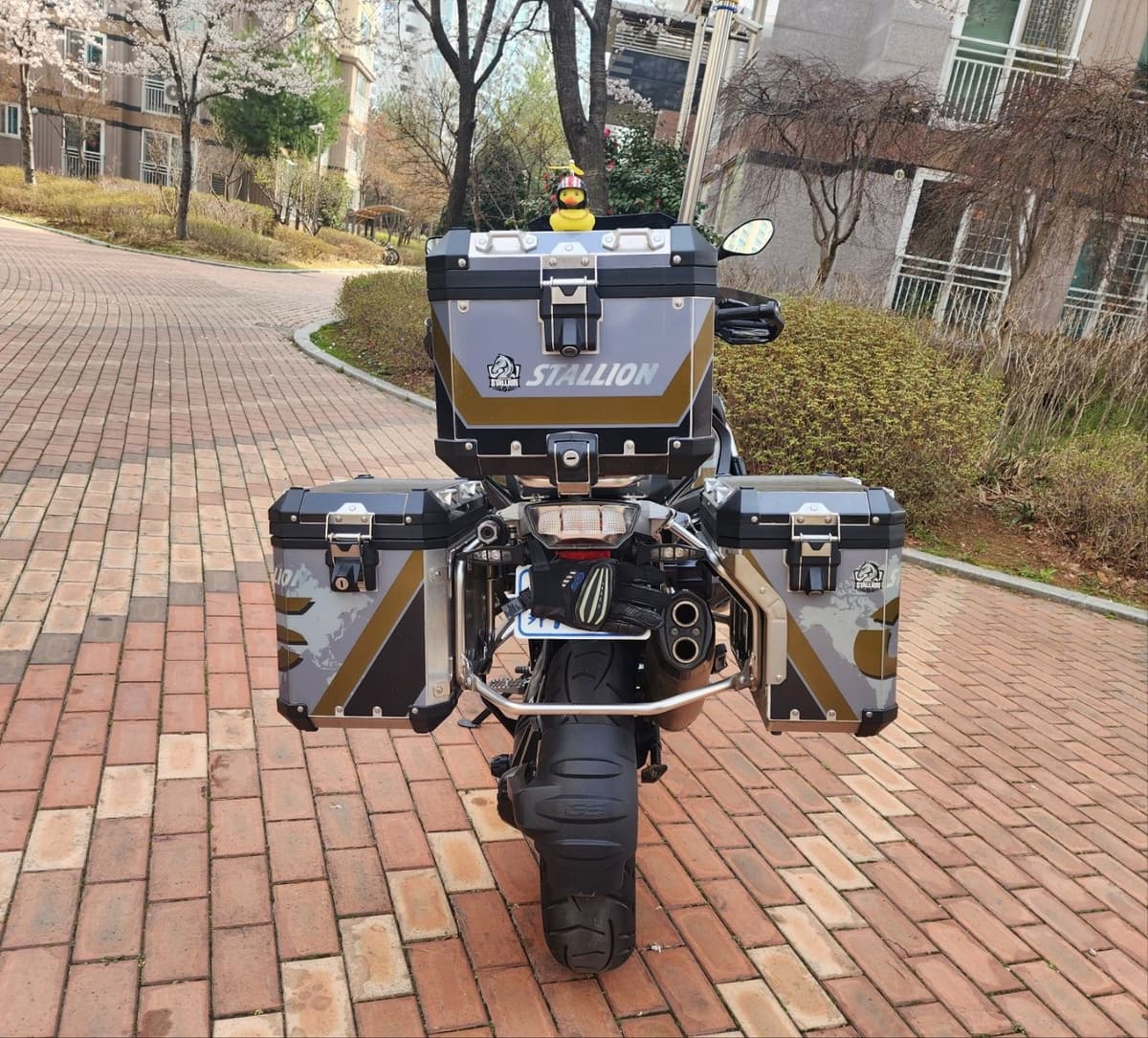 BMW R 1250 GS 어드벤처 3