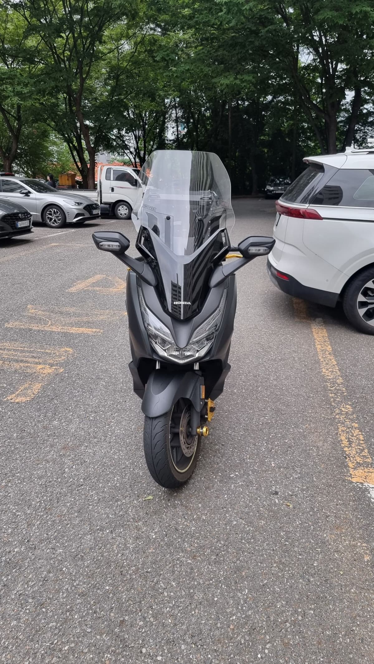 혼다 올 뉴 포르자 300 3