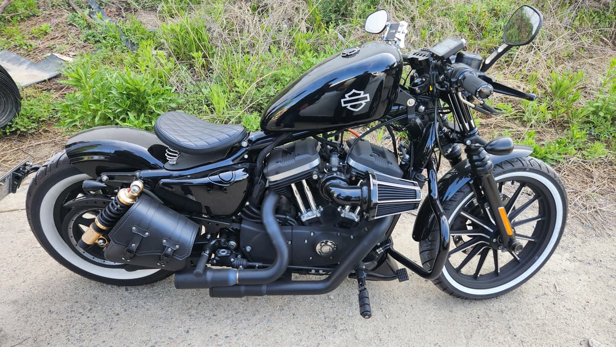 할리데이비슨 아이언 883 1