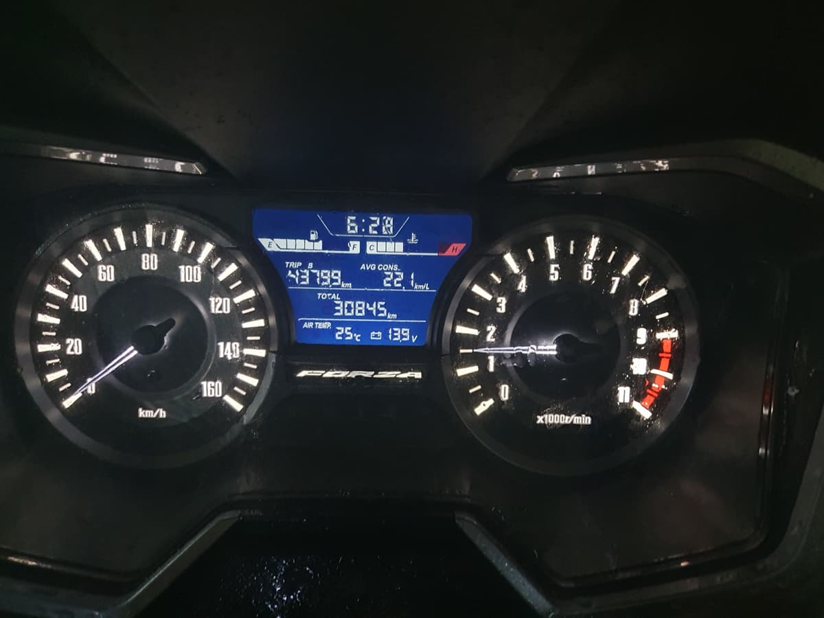 혼다 포르자 300 5