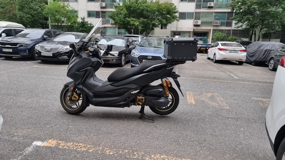 혼다 올 뉴 포르자 300 2