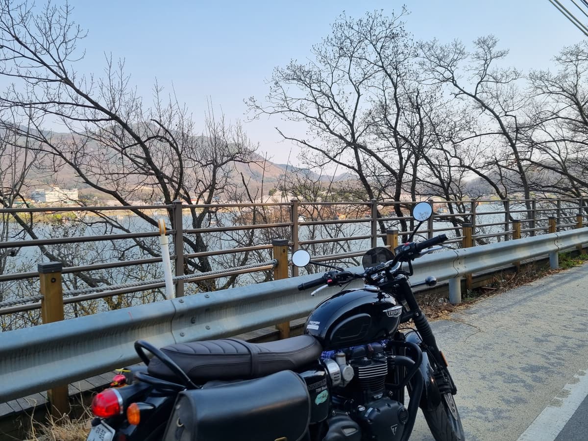 트라이엄프 본네빌 T120 블랙 4