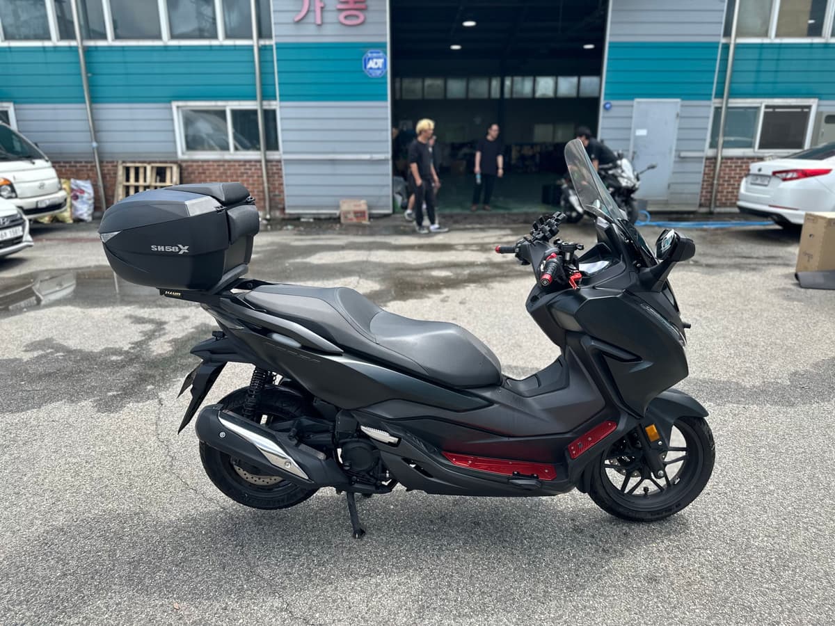 혼다 올 뉴 포르자 300 9