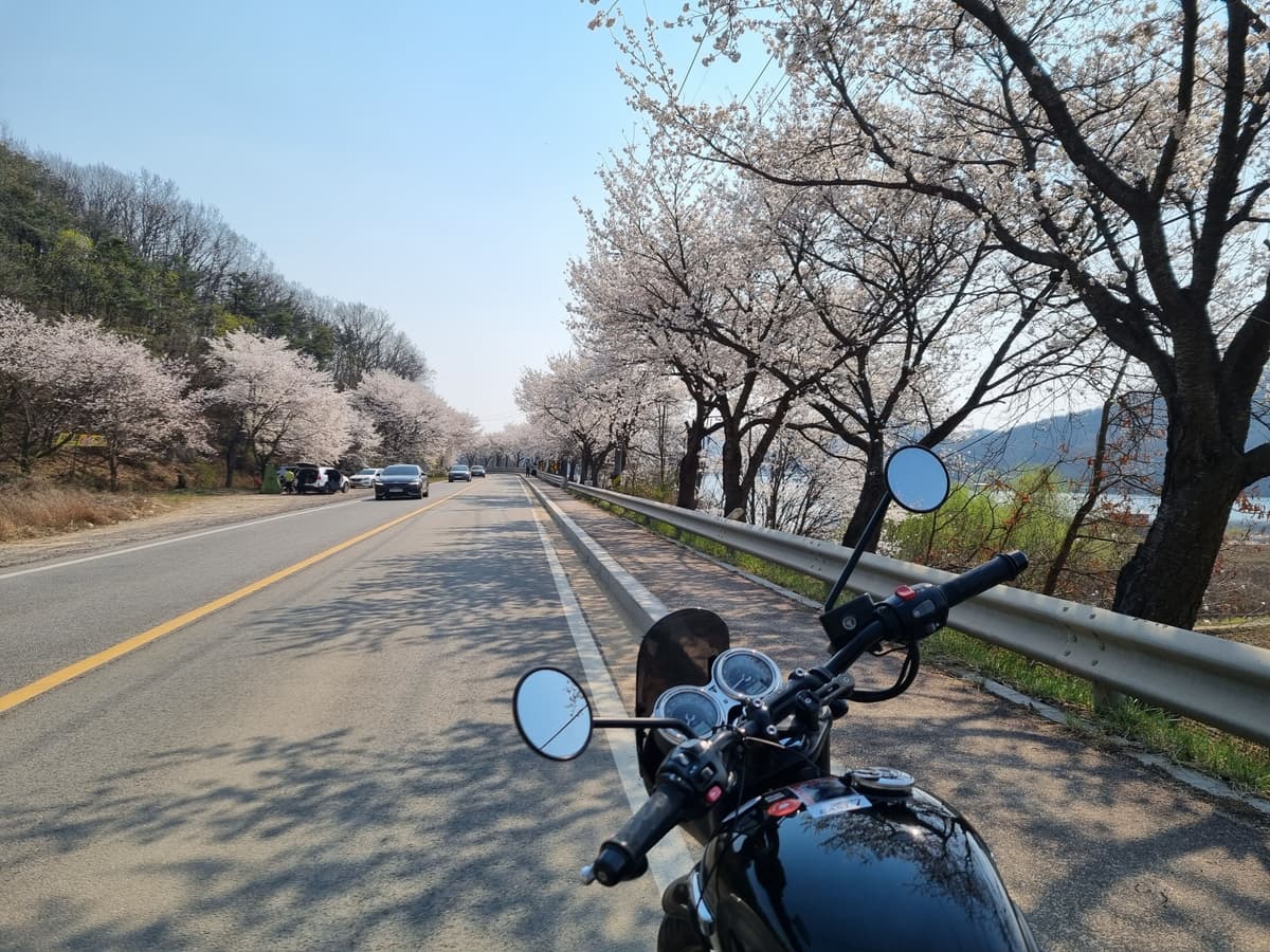 트라이엄프 본네빌 T120 블랙 more