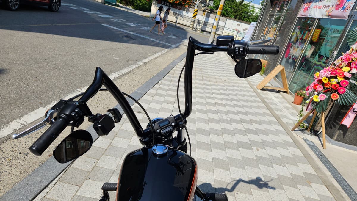 할리데이비슨 스트리트 밥 114 more