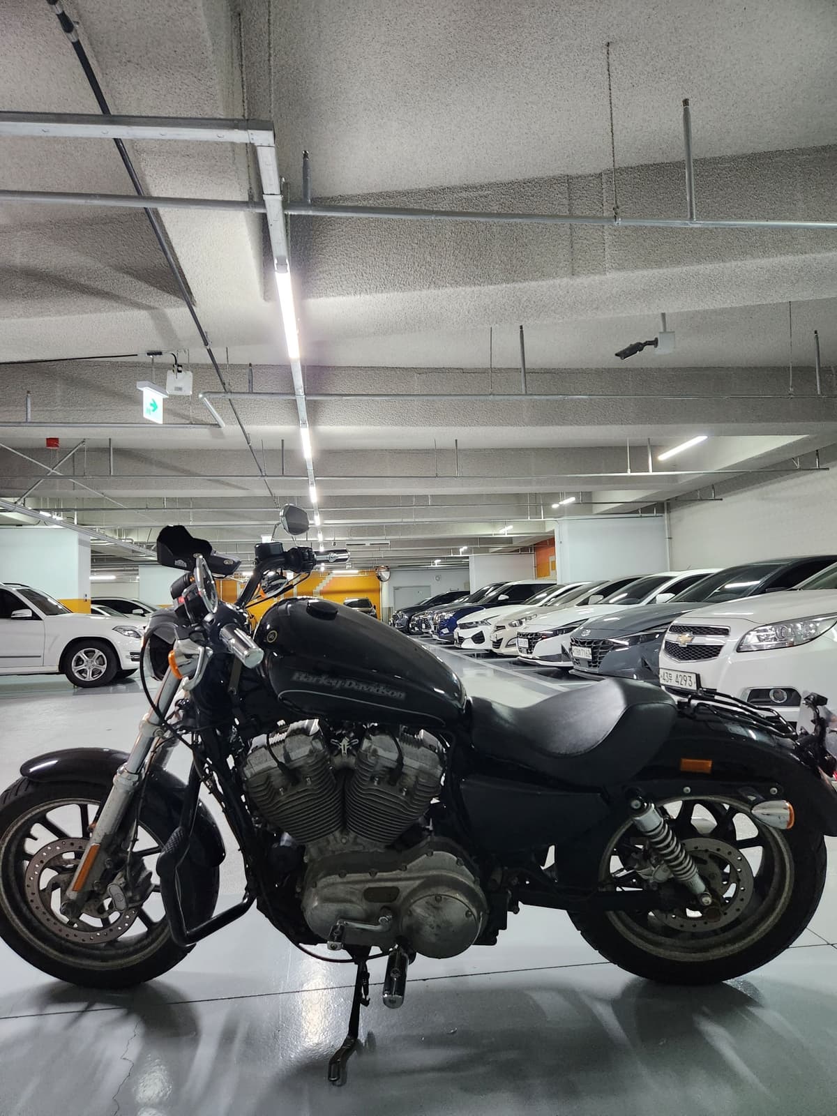 할리데이비슨 883 슈퍼로우 2