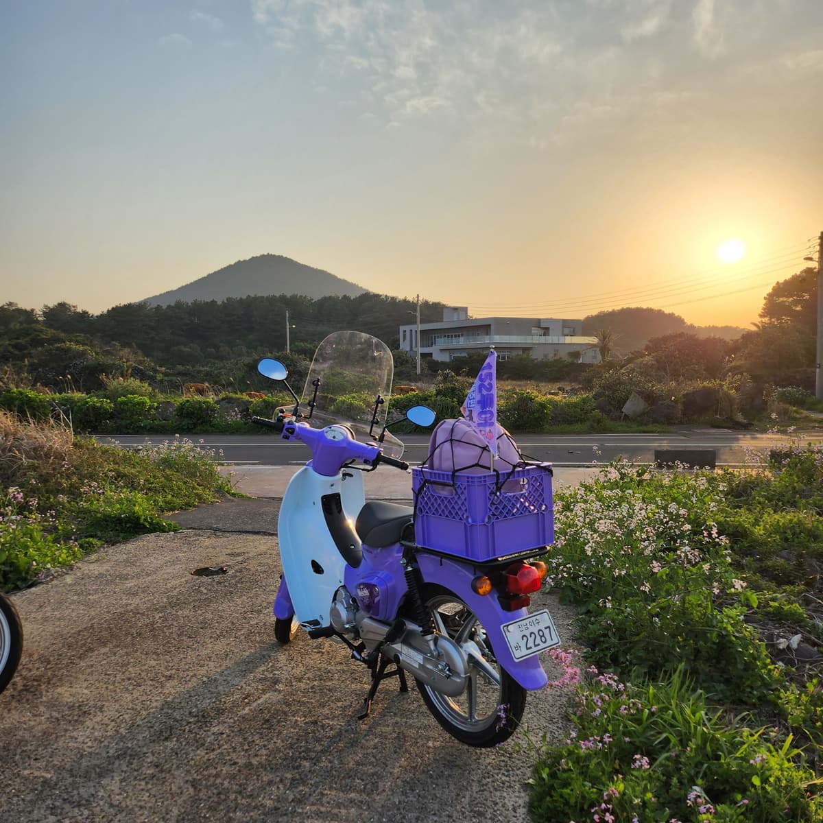 혼다 슈퍼 커브 110 more