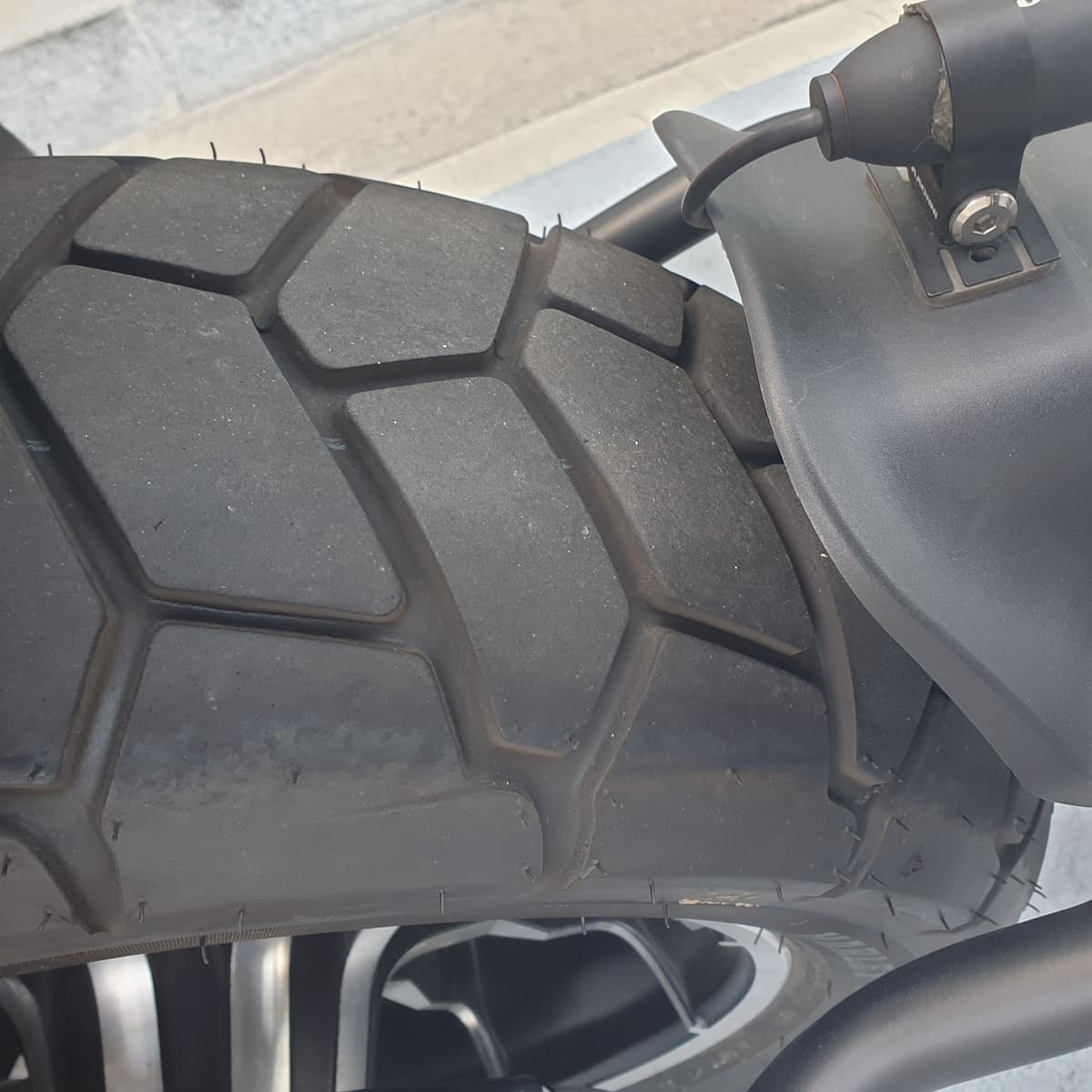 할리데이비슨 팻밥 114 9