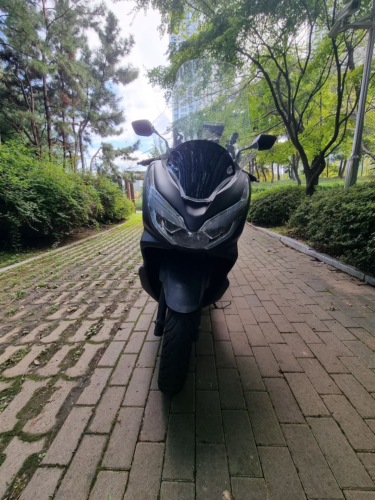 혼다 PCX 125 3