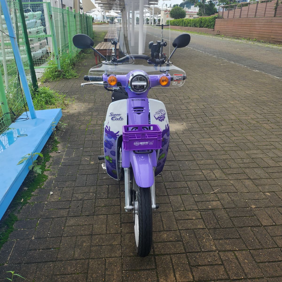 혼다 슈퍼 커브 110 3