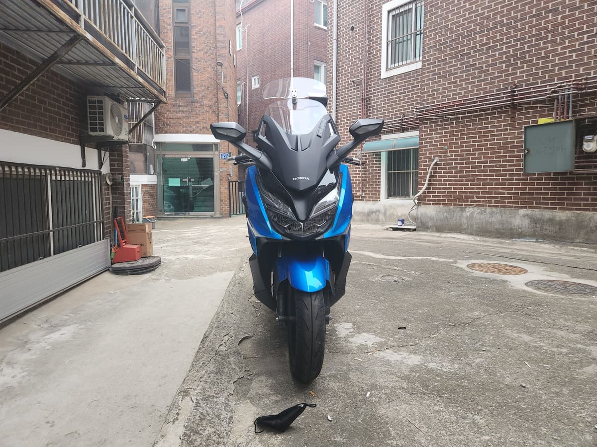 혼다 포르자 350 3